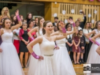 ples zs uhersky-ostroh (192)